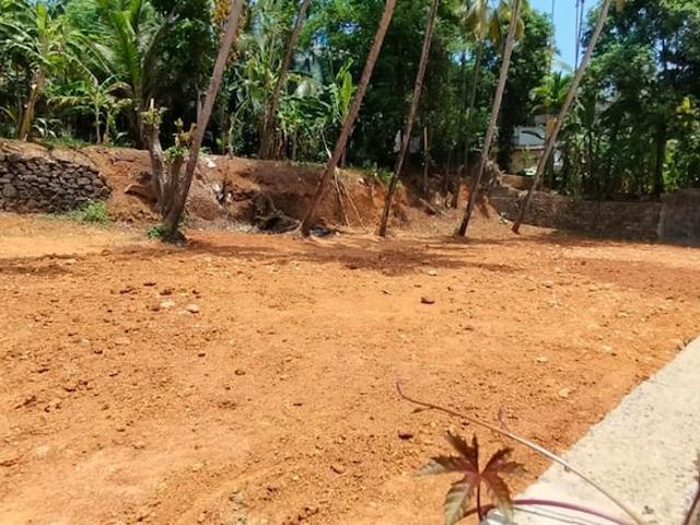 Viyyur, Thrissur City 5009 Sq.Ft. Plot in Viyyur Thrissur Listing ID: #10311