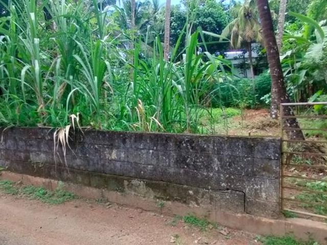 Viyyur, Thrissur City 5885 Sq.Ft. Plot in Viyyur Thrissur Listing ID: #10244