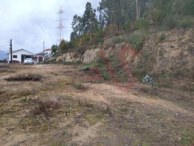 Vizela Vizela 95654738