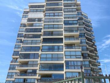 Viña del Mar, Av San Martín 10 Norte frente a Muelle Vergara