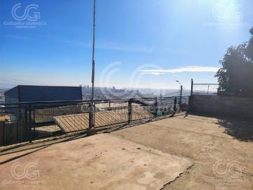 Viña del mar, los jazmines 36
