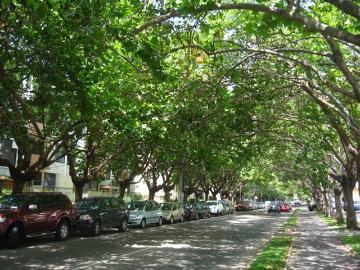 Viña del Mar, 8 Nte. 600
