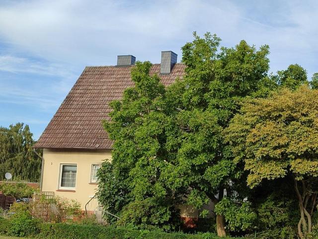 von Privat: Einfamilienhaus mit Einliegerwhg in Barsinghausen OT