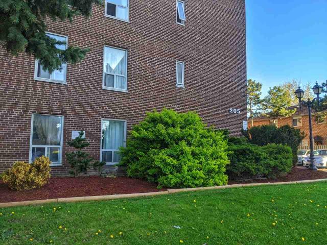 Vodden Apartments 2 Bedroom Apartment for Rent at 205 Vodden St E, Brampton, ON L6V 1M9 Brampton North