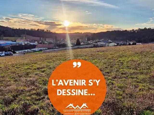 Void Vacon 55190 Achat / Vente terrain