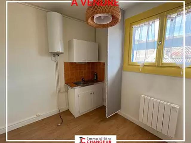 Voiron 38500 Achat / Vente appartement 1 pièce t1 au dernier étage cave