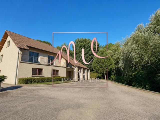 VOIRON, Locaux professionnels