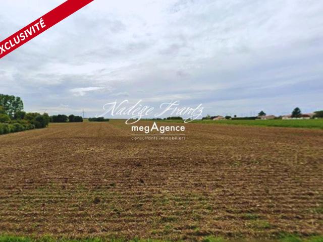 Voissay Vente Terrain 17