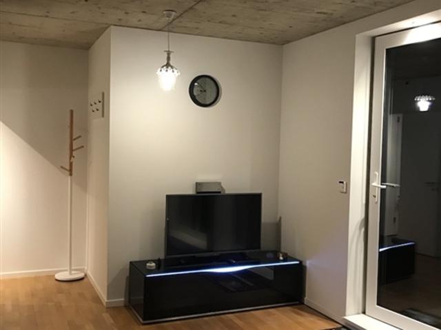 Voll möblierte 2 5 Zimmer Wohnung zur Miete in Wallisellen Melchrütistraße 14