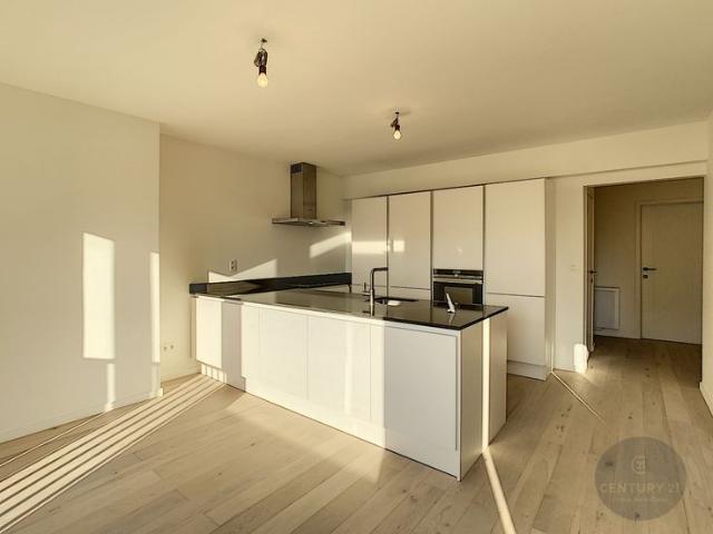 Volledig gerenoveerd appartement met ruim terras en op wand