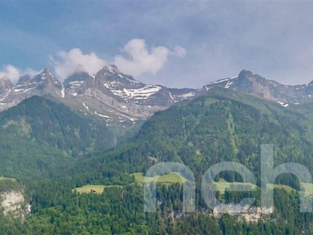 Vollständig renovierte Wohnung im Zentrum von Champéry, Panoramablick