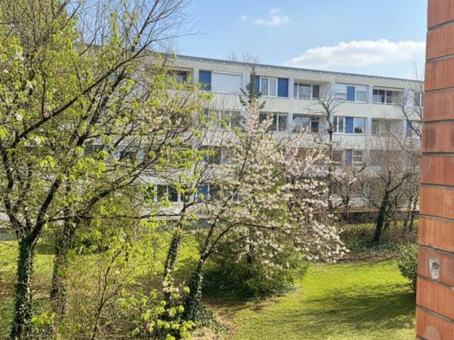 Vollrenovierte Dreizimmer Wohnung mit großem Kellerraum