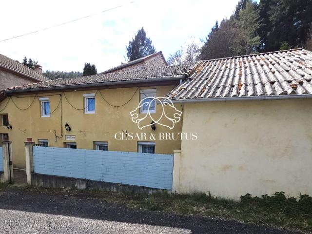 Vorey Vente Maison 43