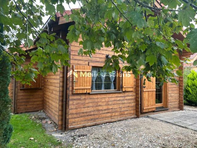 Vosges, Ainvelle, chalet meublé T3 sur terrain de 1674M2
