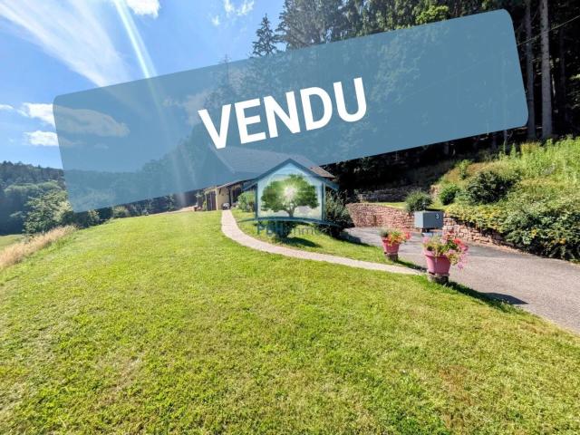 VOSGES DU NORD 67 Maison 110m² avec Cave et Jardin sur 70.96