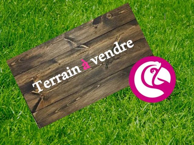 Votre futur terrain à Brissac Quincé