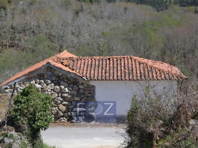 Vouzela Vouzela 103228559