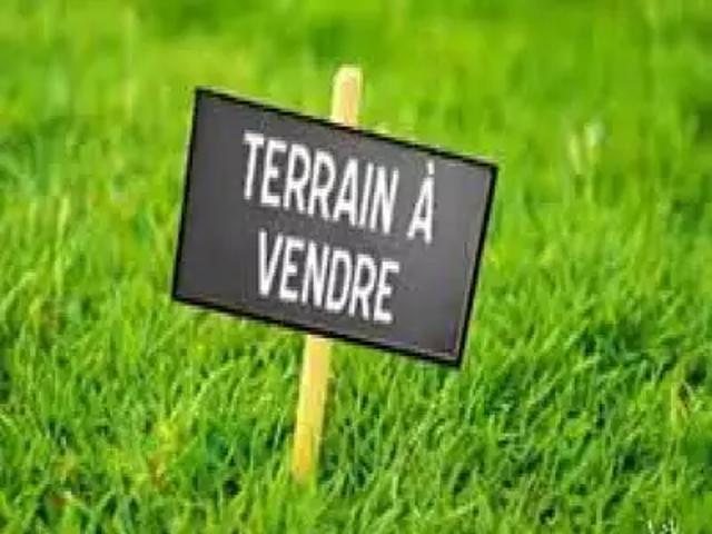 Vouzon 41600 Achat / Vente terrain