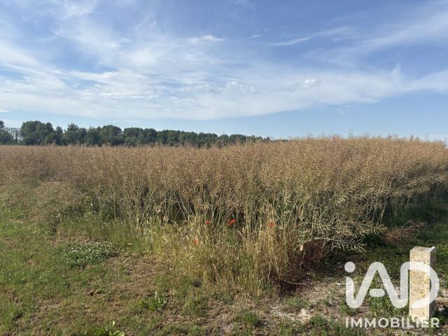 Vouzy Vente Terrain 51
