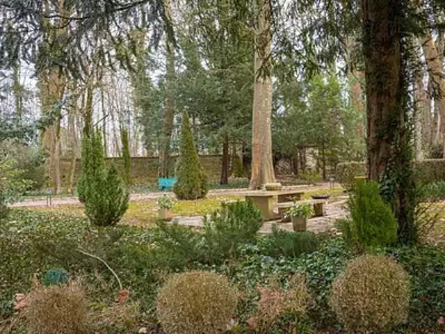 Vougeot 21640 Achat / Vente maison 13 pièces t13 jardin terrasse