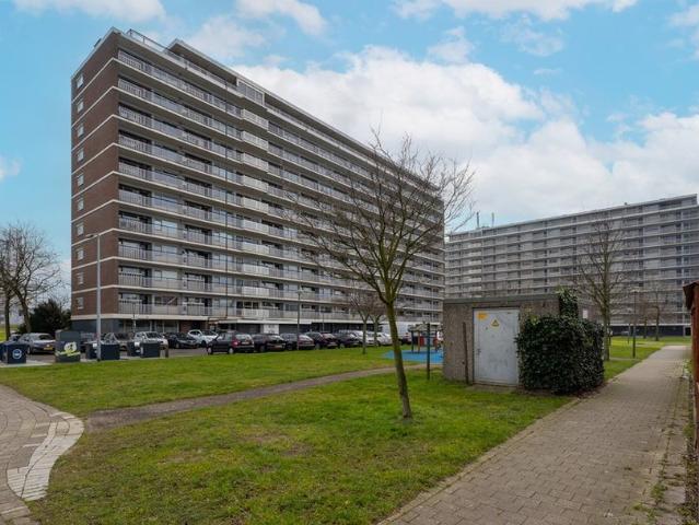 Vlaardingerdijk, 258, 3117ZS, Schiedam, Zuid Holland 3117ZS
