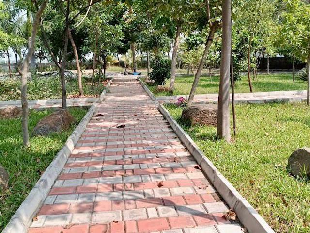 Vm Residency 1200 Sq.Yd. Plot in Vijay Nagar Hassan Listing ID: #9891