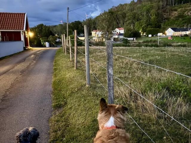 Vretaholm dammen, Gränna