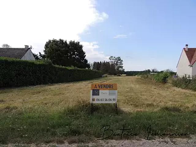 Vrigny 45300 Achat / Vente terrain