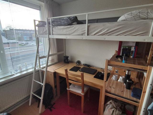 Vrije kamer in Huize Bloemkool