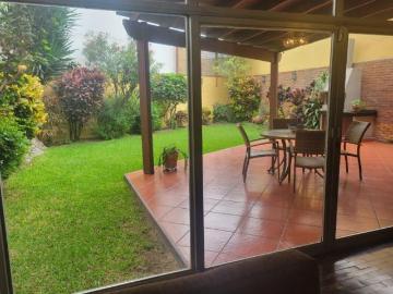 Vta. Surco Jr. Pucala Casa Remodelada 4D 2C Terraza Jardines BBQ Ocasión