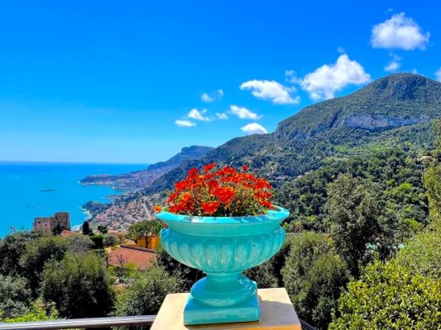 VUE DE MONACO, CALME