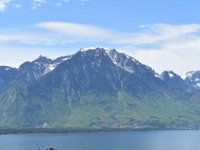 Vue imprenable sur le Lac Villa une vrai carte postale Terrasses, pelouse | dreamo. Ch
