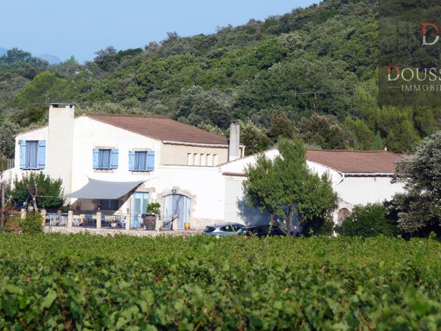 Vue Imprenable sur les vignes