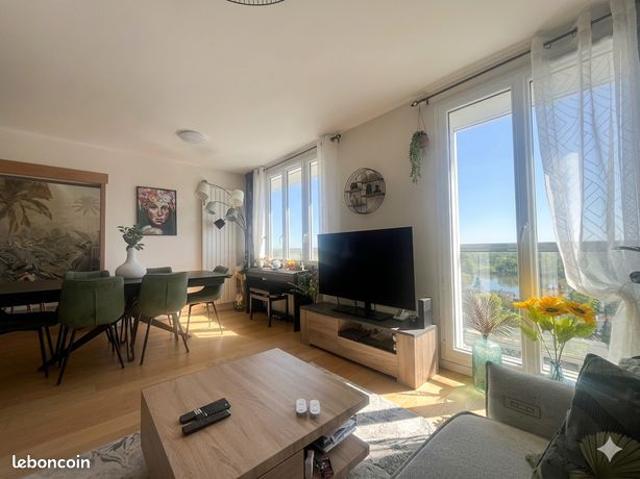 Vue loire appartement 3 pièces orleans 45000