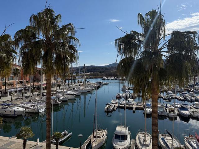 Vue magnifique port, albères, racou, mer pour ce joli studio