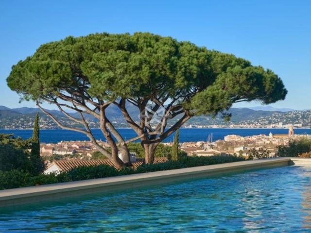Vue mer à pied du village de Saint Tropez