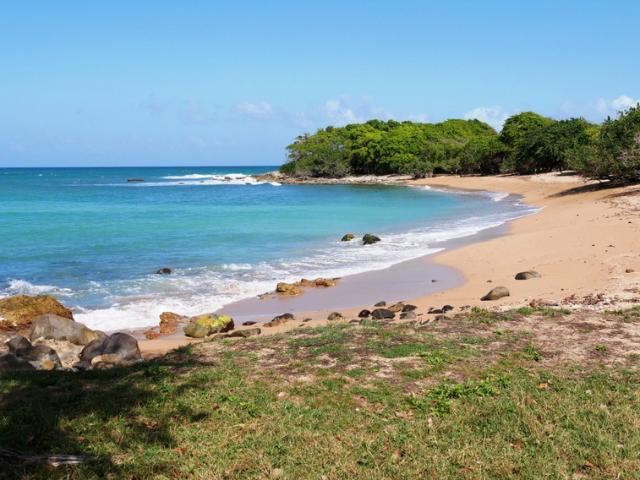 VUE MER Villa avec piscine + 5 villas créole avec piscine commune, plage à pied à Sainte Rose 971