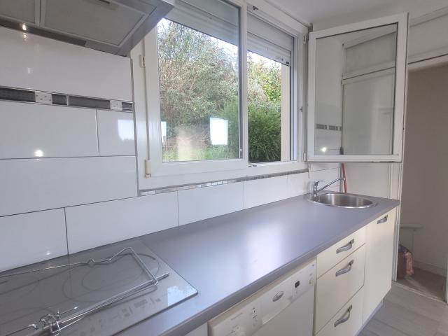 Vue panoramique, maison ensoleillée avec beau terrain
