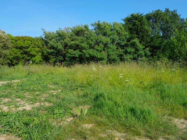 Vue Vente Terrain 44