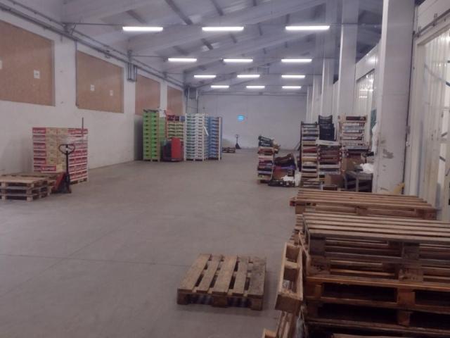 Św. Maksymiliana Kolbego 450 m², Głogów Małopolski