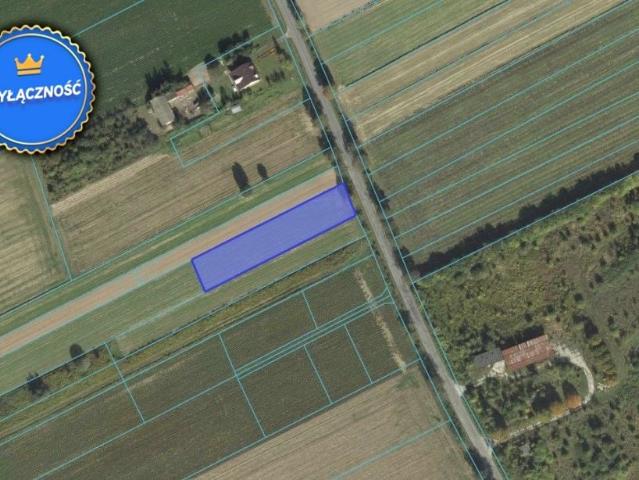 Włóki 2 000 m², Niemce