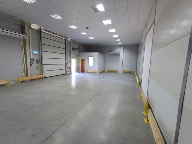 Władysława Węgorka 15 141,29 m², Poznań