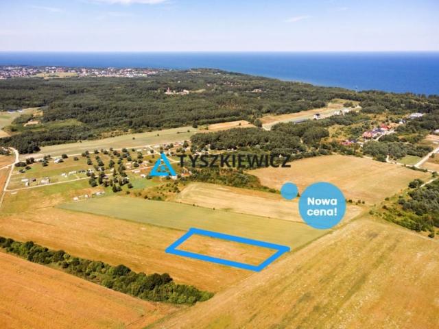 Władysławowska 4 387 m², Chłapowo