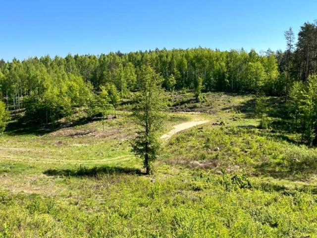 W lesie nad jeziorem 1 227 m², Purda