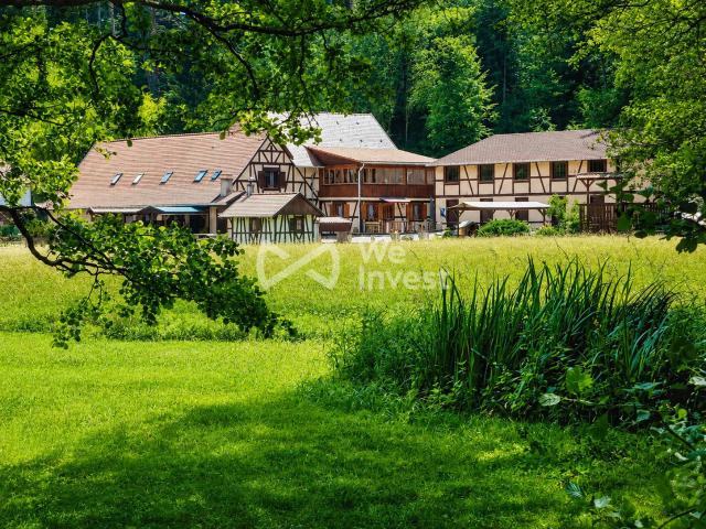 Wangenbourg Engenthal Vente Maison 67