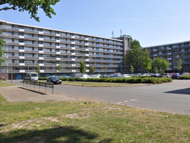 Waalstraat 125