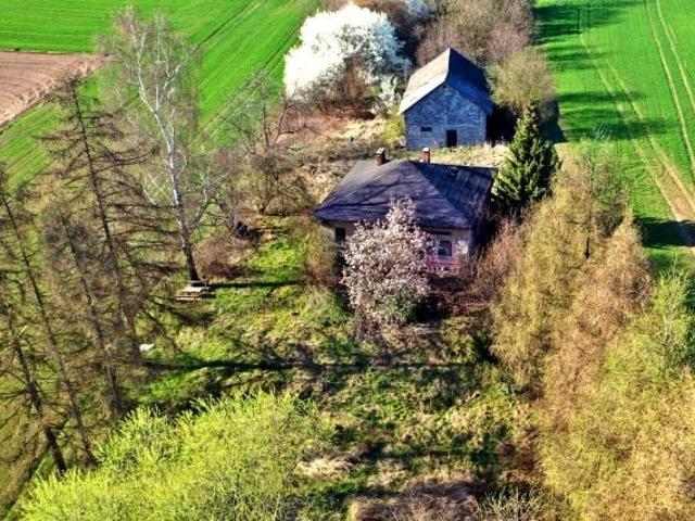 Wadowicka 4 240 m², Głębowice