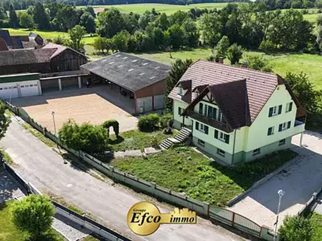 Wahlbach 68130 Achat / Vente maison 9 pièces t9
