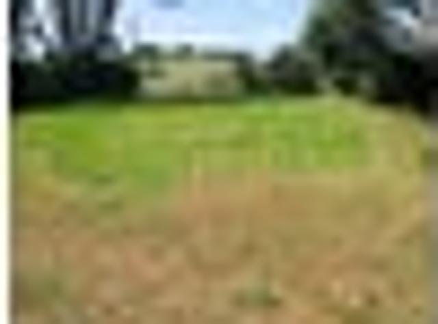 Waiuku, 3 bedrooms, $450 pw