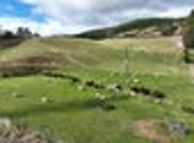 Waihola Bare Land Block